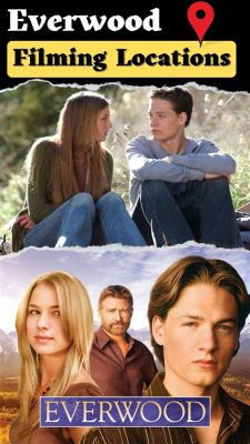  Everwood: A Pequena Cidade com Grandes Dilemas e um Toque de Romance Impossível